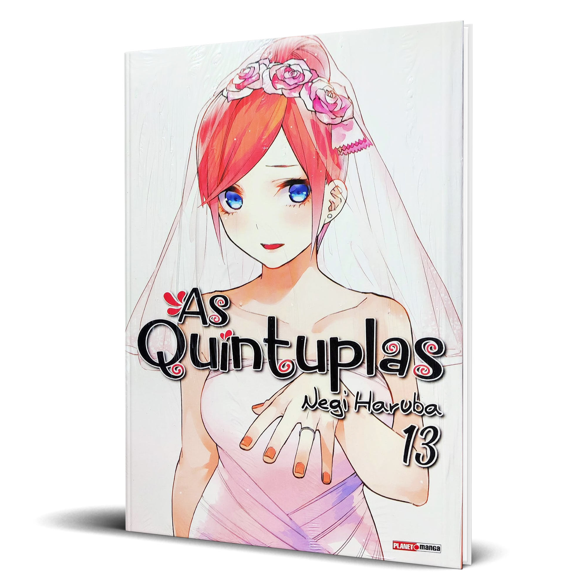 As Quíntuplas - Vol. 13
