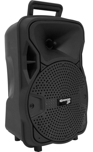 Caixa De Som Soundvoice CA80 Amplificada com Bateria