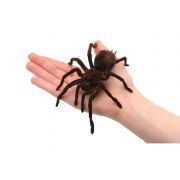 Aranha na mão - Magica The Web B+