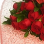 Amor de Rosas