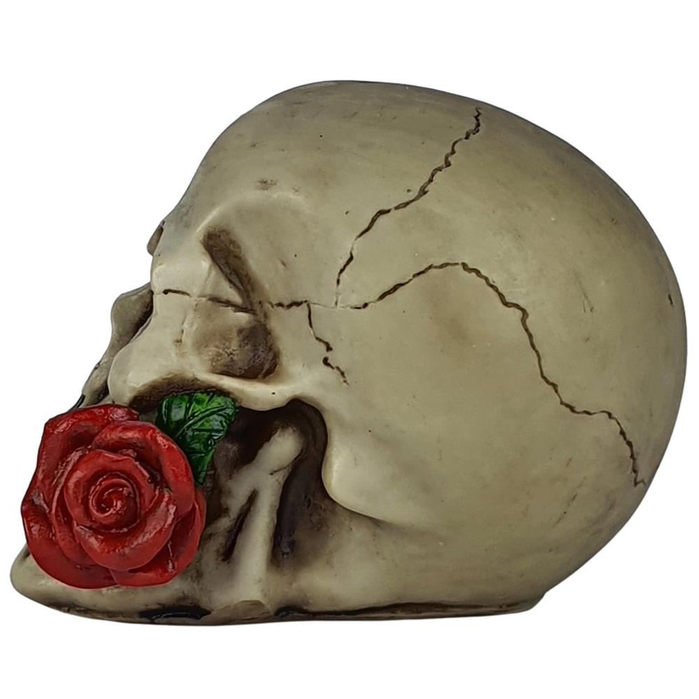 Crânio Caveira Com Rosa Na Boca Vermelha Decorativo