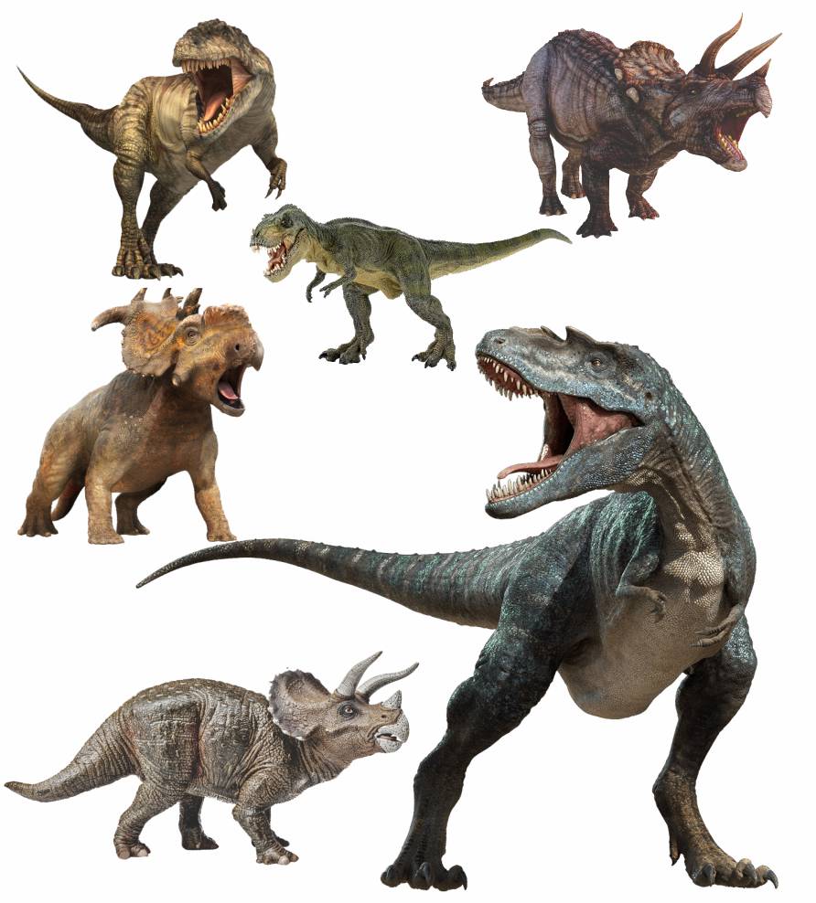 Display festa Mdf Dinossauro 1 Totem 65cm e 5 Displays 22cm