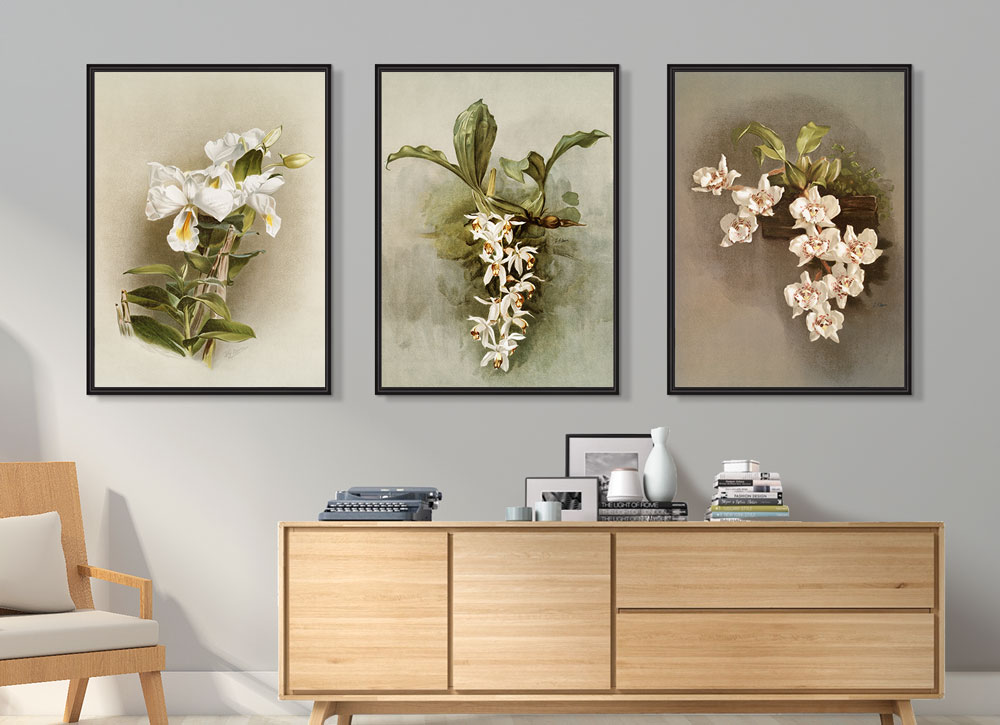 Quadros Decorativos Sala Quarto Floral Orquídeas Com Moldura