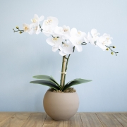 Arranjo Orquídea de Silicone Branca no Vaso Fendi | Formosinha