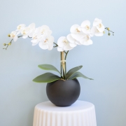 Arranjo Orquídeas Brancas Silicone no Vaso Preto | Formosinha