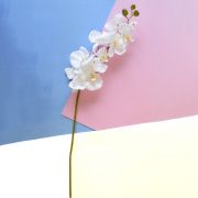 Flor Artificial Haste de Orquídea Grande Branca Aveludada | Formosinha