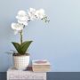 Arranjo Orquídea Artificial Vaso de Cerâmica Branco| Formosinha