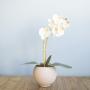 Arranjo de Orquídea Artificial Branca no Vaso Nude | Formosinha