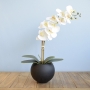 Arranjo Orquídea Artificial Branca no Vaso M Preto | Formosinha