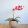 Arranjo de Orquídea Artificial Pink no Vaso Fendi | Formosinha