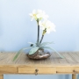 Arranjo de Amarílis Flor Artificial Branca no Vaso de Vidro |Formosinha
