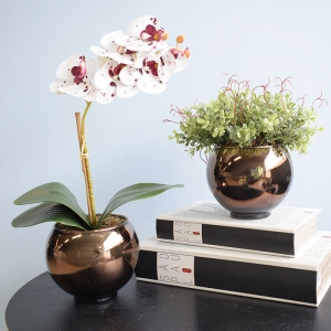 Kit 2 Arranjos de Orquídea e Peperômia no Vaso Bronze | Formosinha