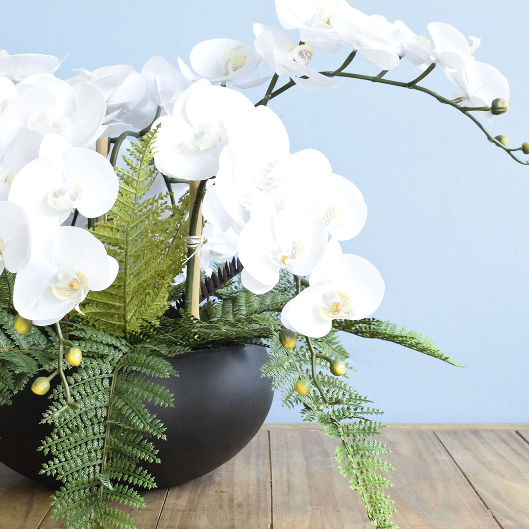 Arranjo com 6 Orquídeas Brancas e Samambaia no Vaso Preto | Formosinha