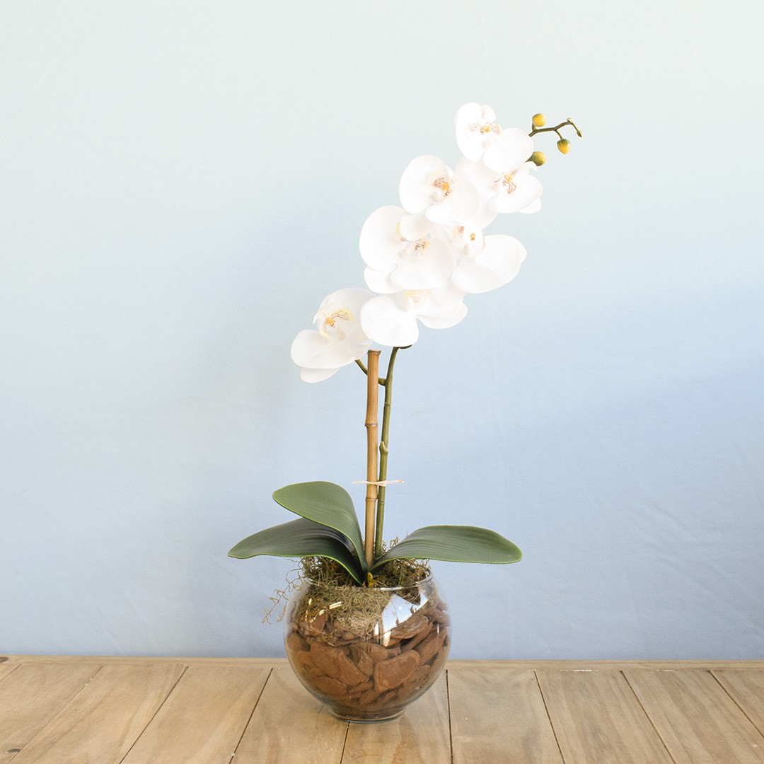 Arranjo de Orquídea Branca de Silicone no Vaso Vidro P | Formosinha