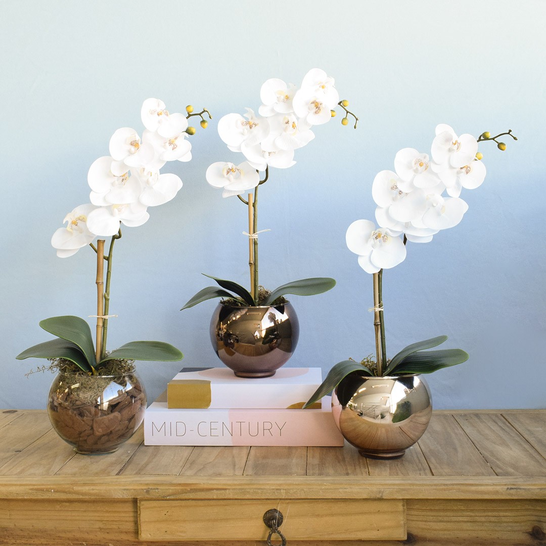 Arranjo Orquídea Branca de Silicone no Vaso Vidro P | Formosinha
