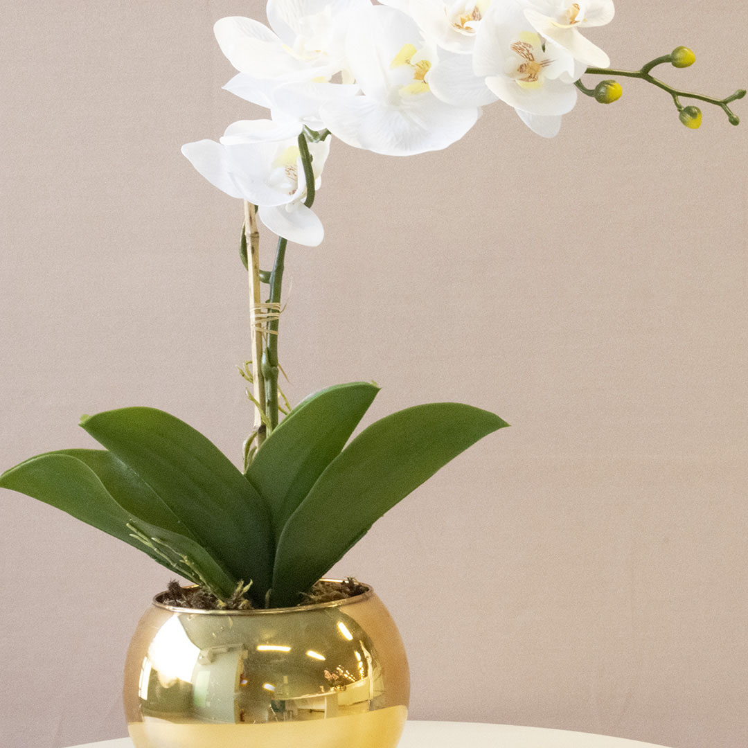 Arranjo de Orquídea Silicone Branca no Vaso Dourado | Formosinha