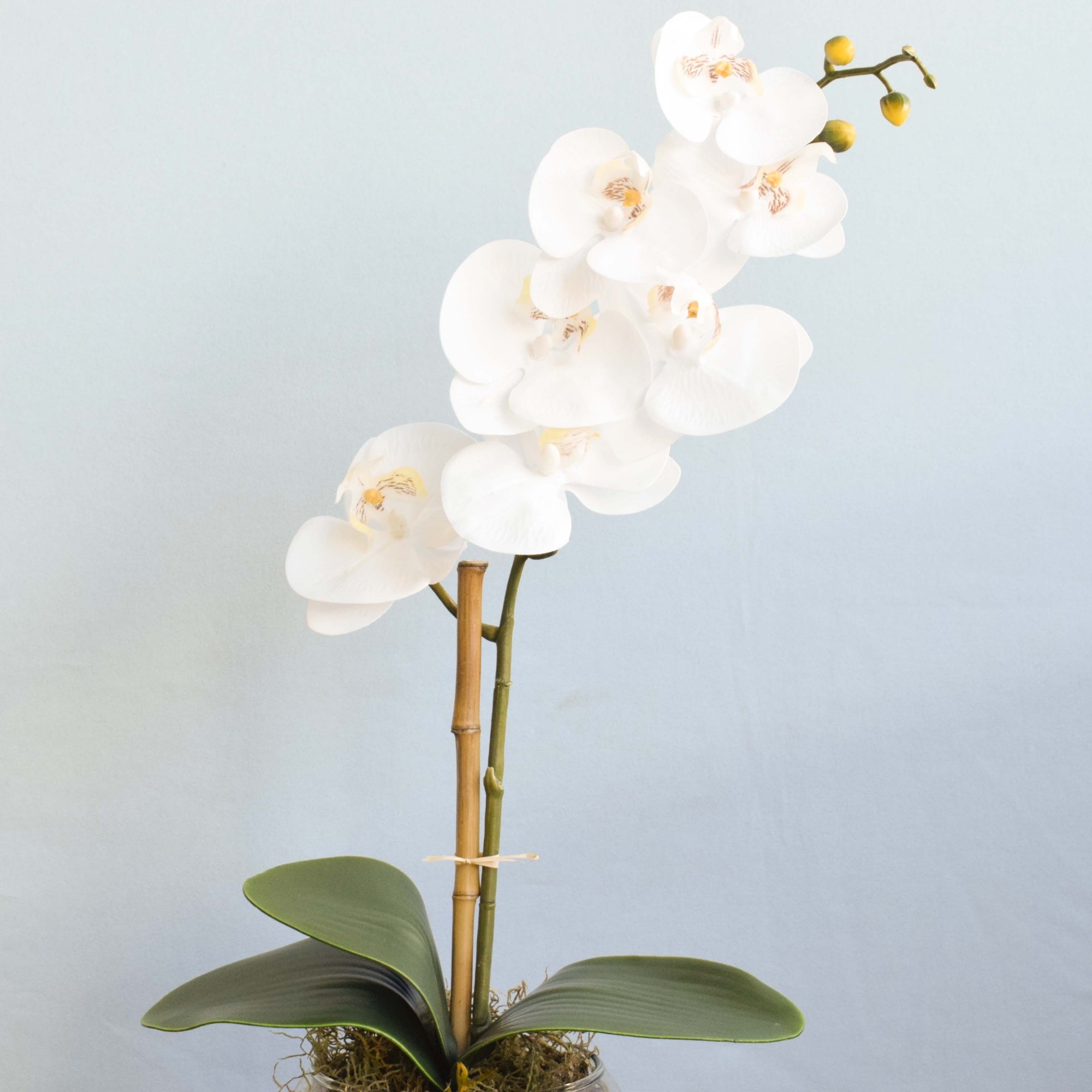 Arranjo Orquídea Branca de Silicone no Vaso Rose Gold | Formosinha