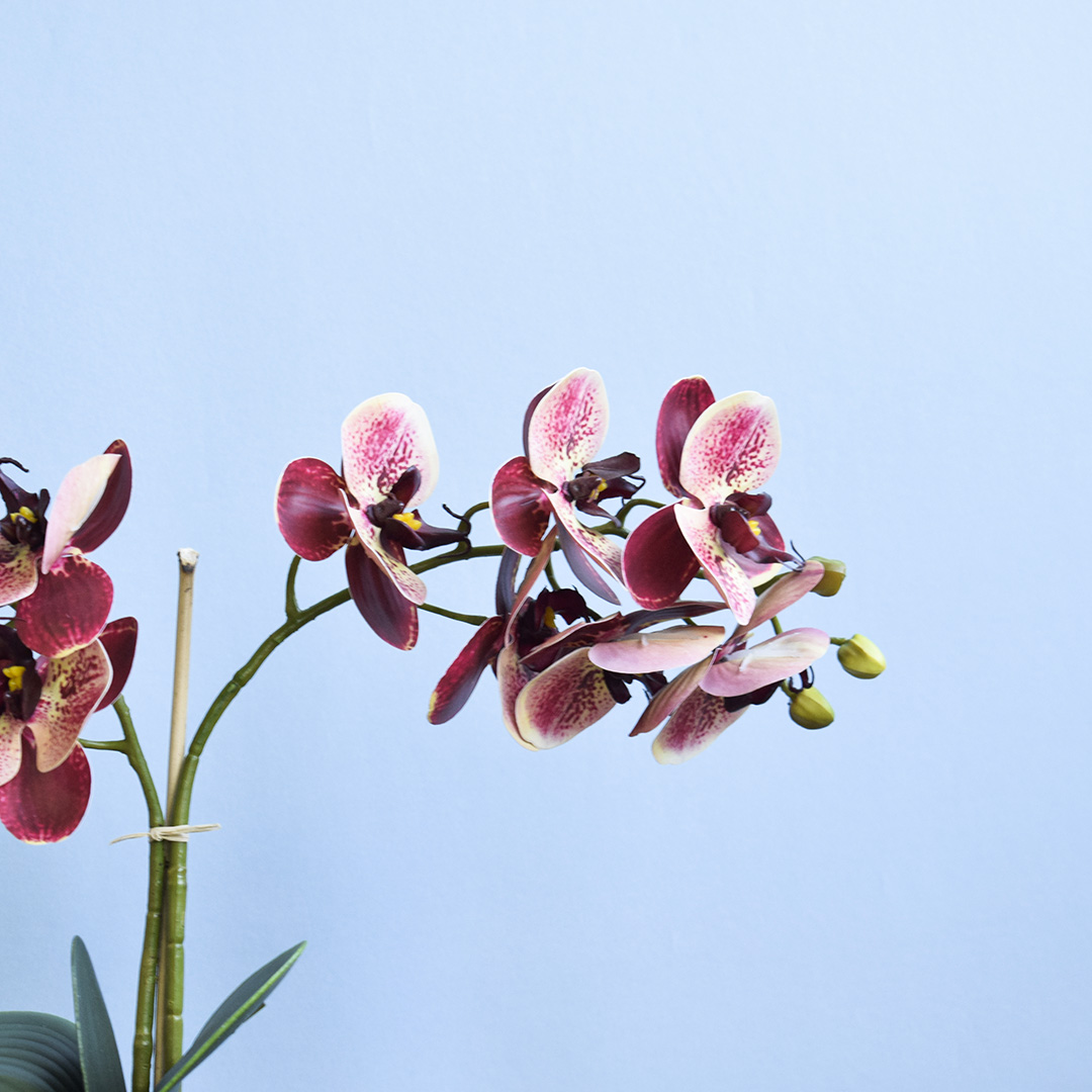 Arranjo Orquídeas Artificial no Vaso Baixo Branco | Formosinha