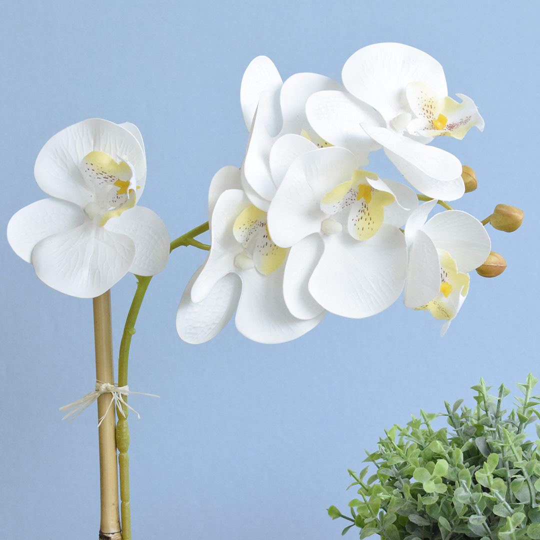 Arranjo de Flor Artificial Orquídea Branca no Vaso Fendi | Formosinha
