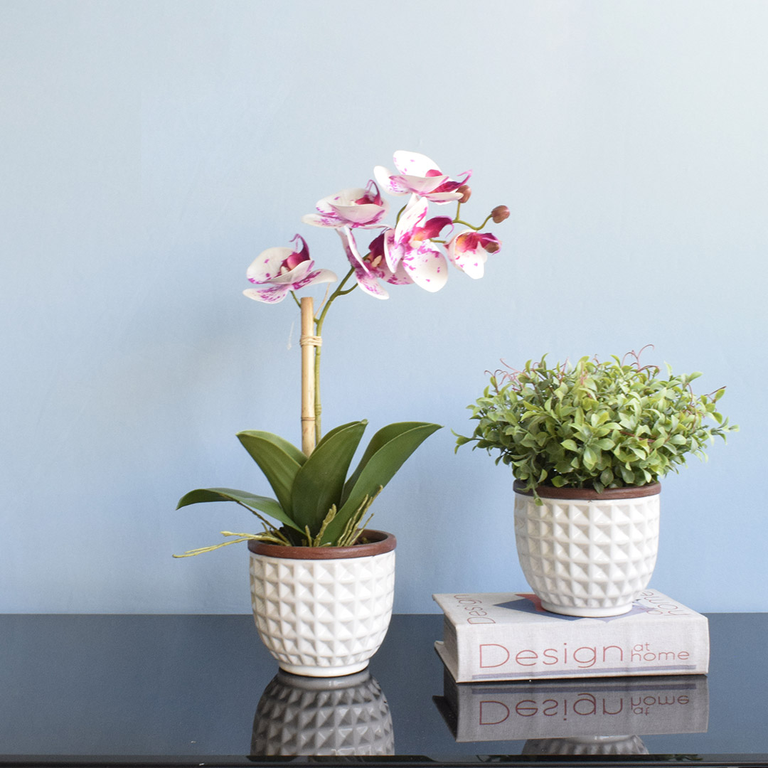 Arranjo Orquídea Artificial Tigre no Vaso Branco | Formosinha