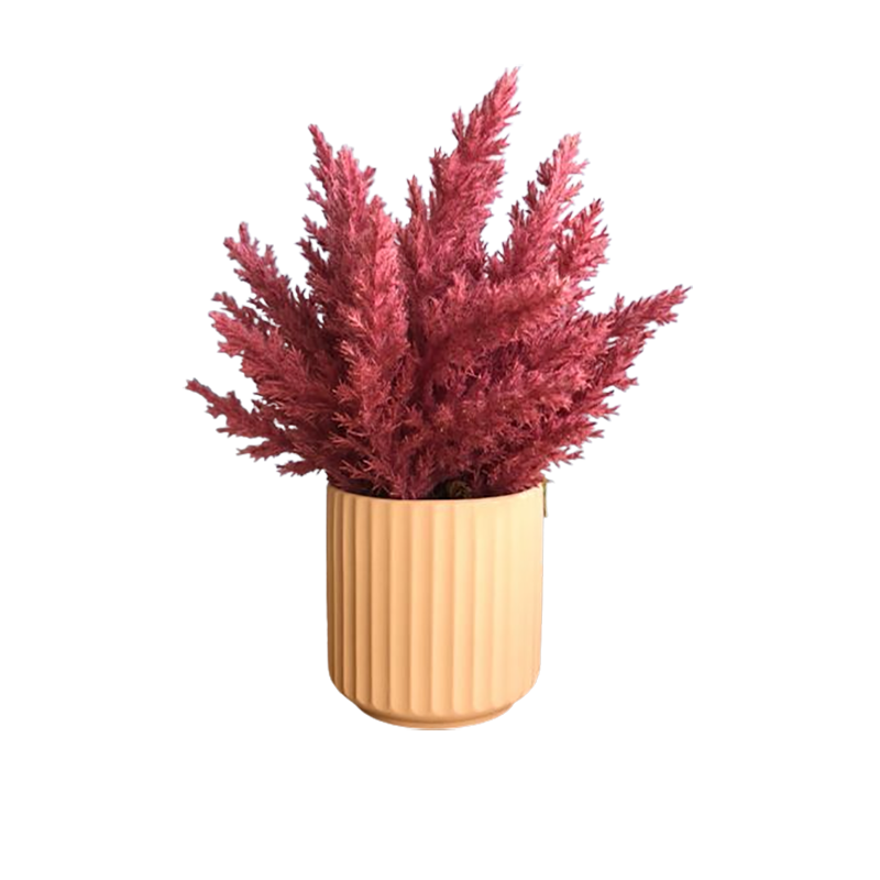 Arranjo Flores Secas Pink no Vaso Canelado Creme Formosinha
