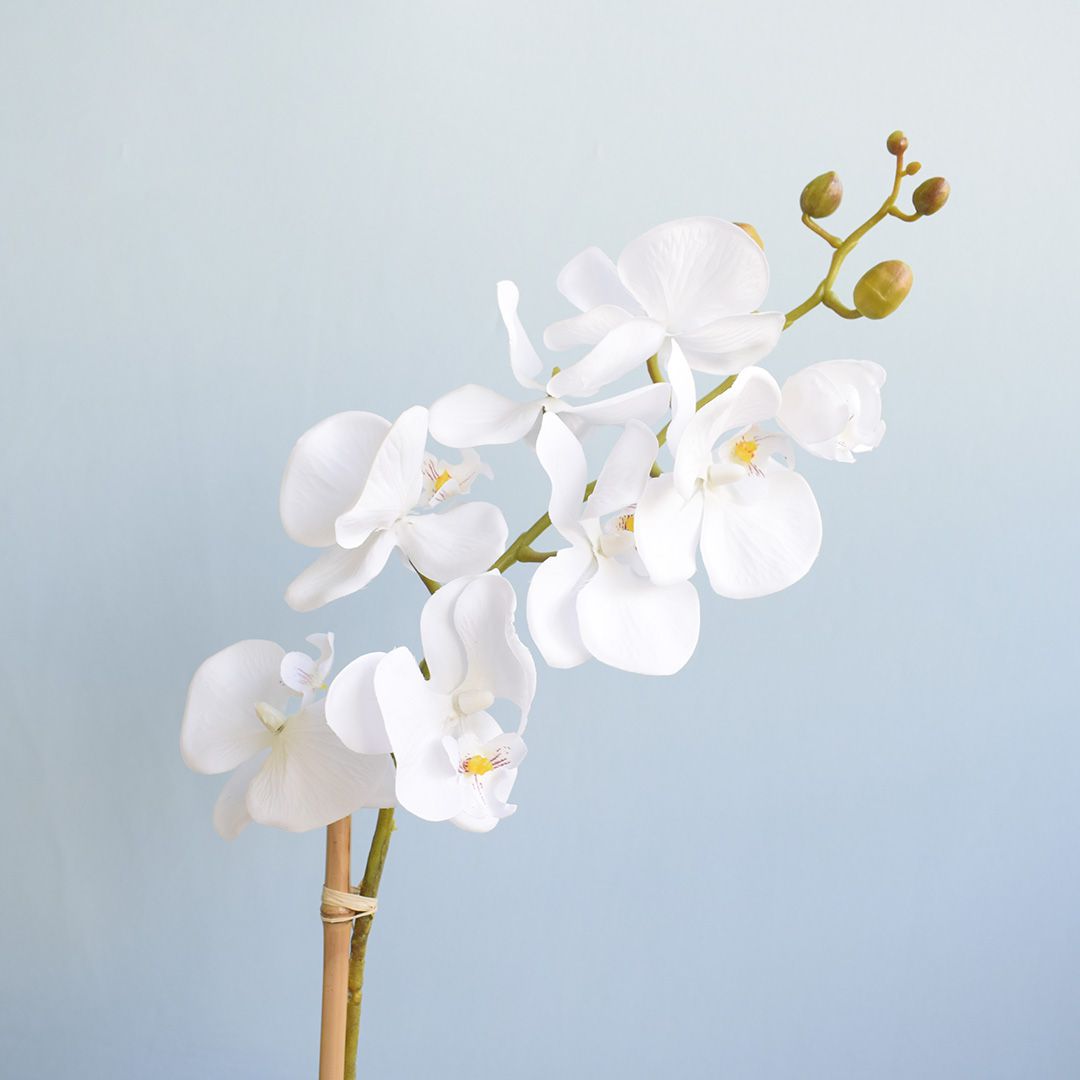 Arranjo de Orquídea Artificial Branca no Vaso Prateado | Formosinha