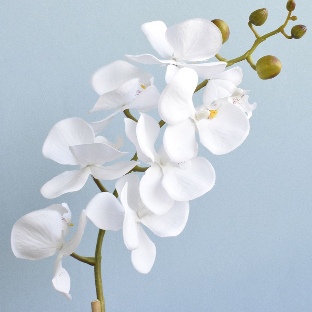 Arranjo de Orquídea Artificial Branca Vaso Rose Gold |Formosinha