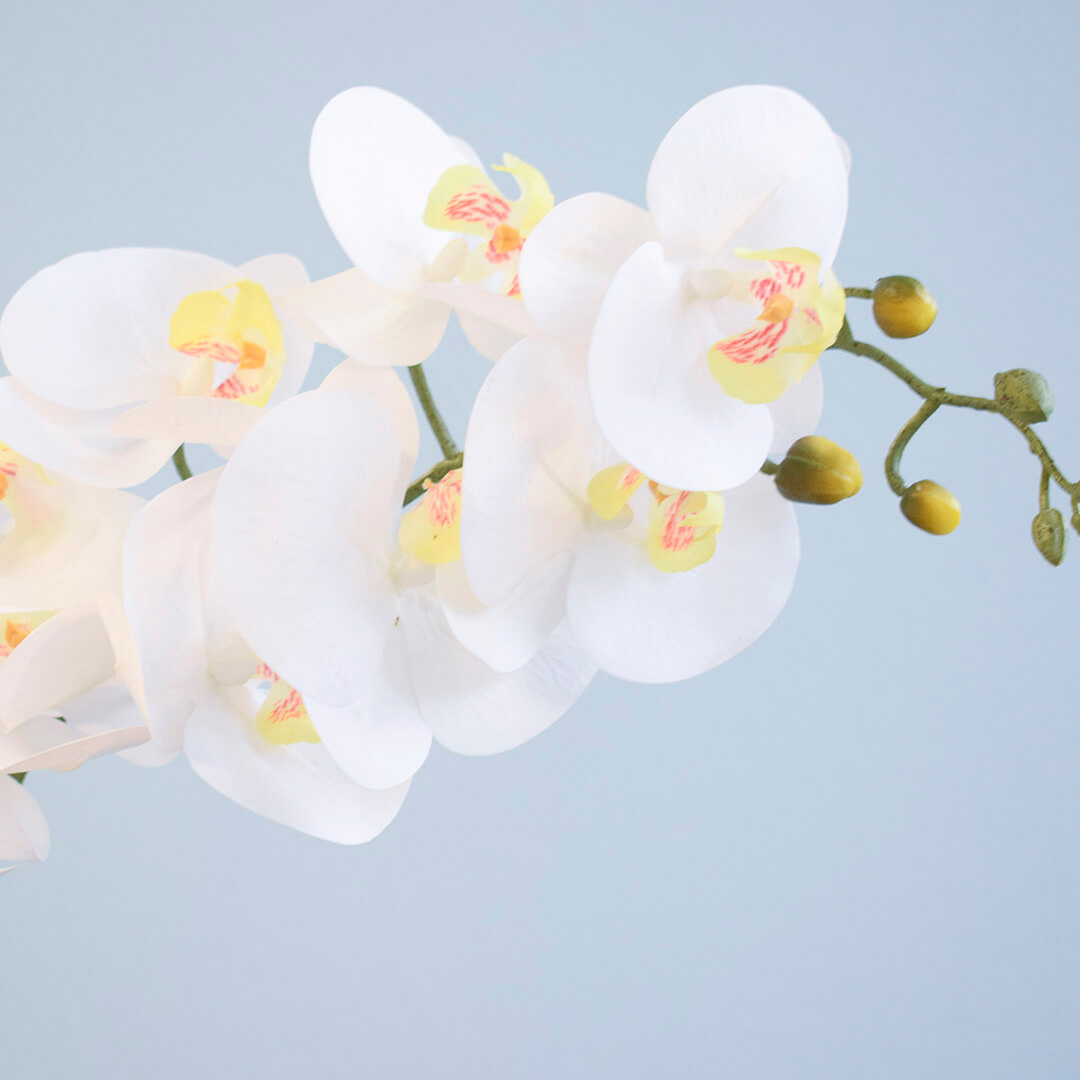 Arranjo de Orquídea Branca de Silicone no Vaso Vidro |Formosinha