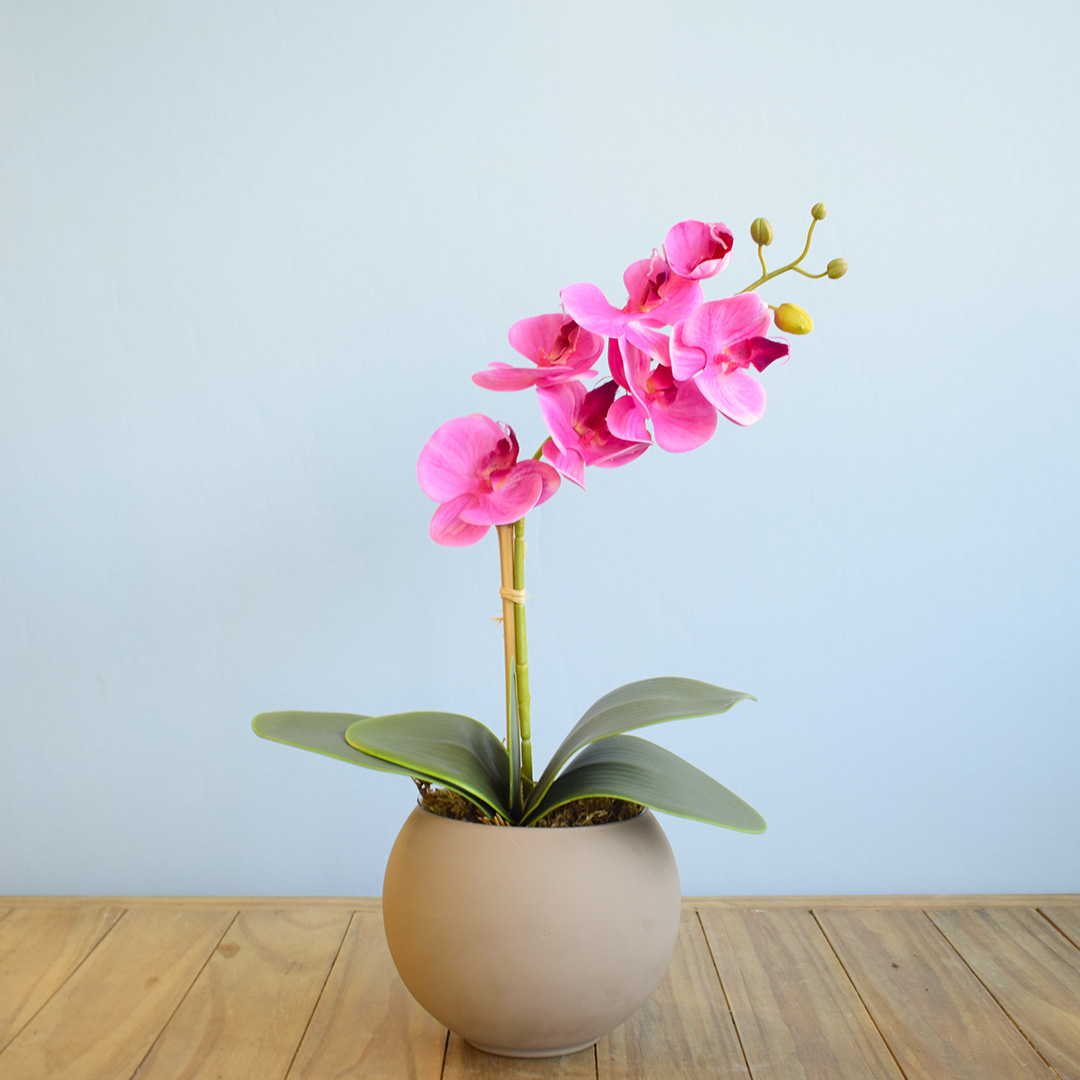 Arranjo de Orquídea Pink Artificial no Vaso Fendi | Formosinha