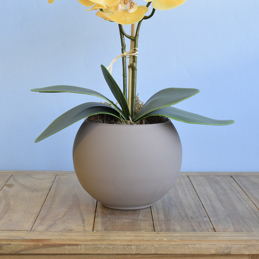 Arranjo de Orquídeas de Silicone Amarelas no Vaso Fendi | Formosinha