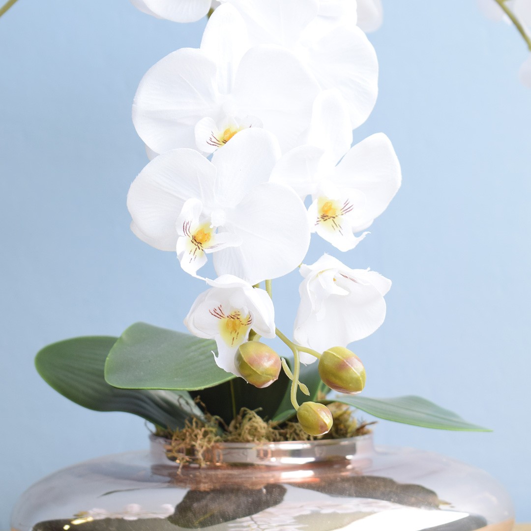 Arranjo de Orquídeas Brancas no Vaso Rose Gold Baixo | Formosinha