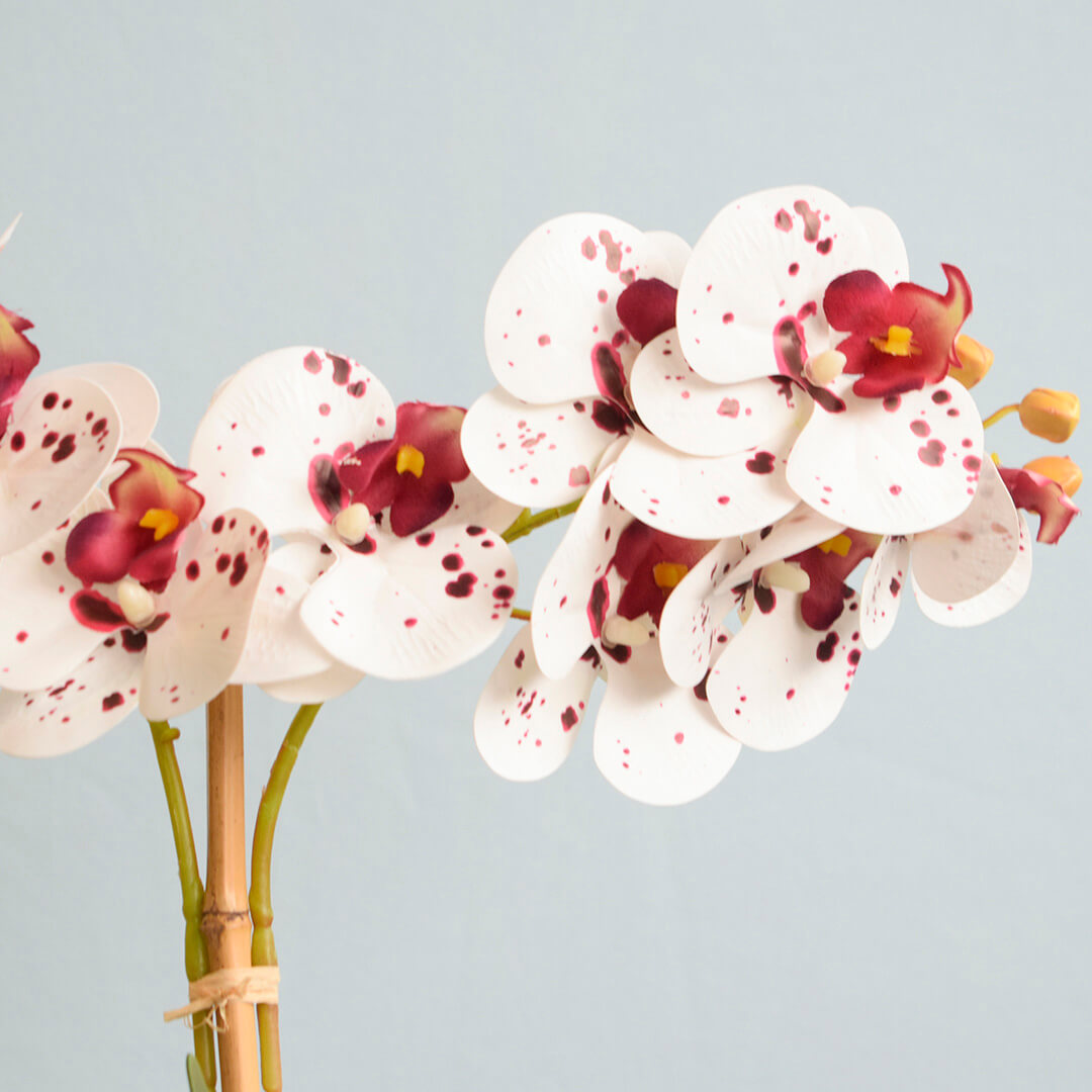 Arranjo Duas Orquídeas Artificiais Tigre no Vaso de Vidro | Formosinha