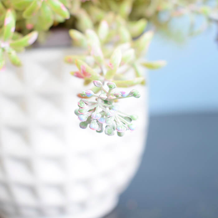 Arranjo Flor Artificial Campo no Vaso Branco | Formosinha