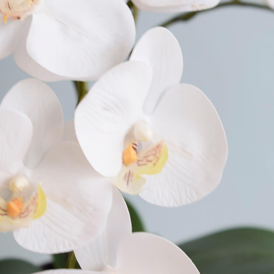Arranjo Orquídeas Artificiais Branca no Vaso de Vidro | Formosinha