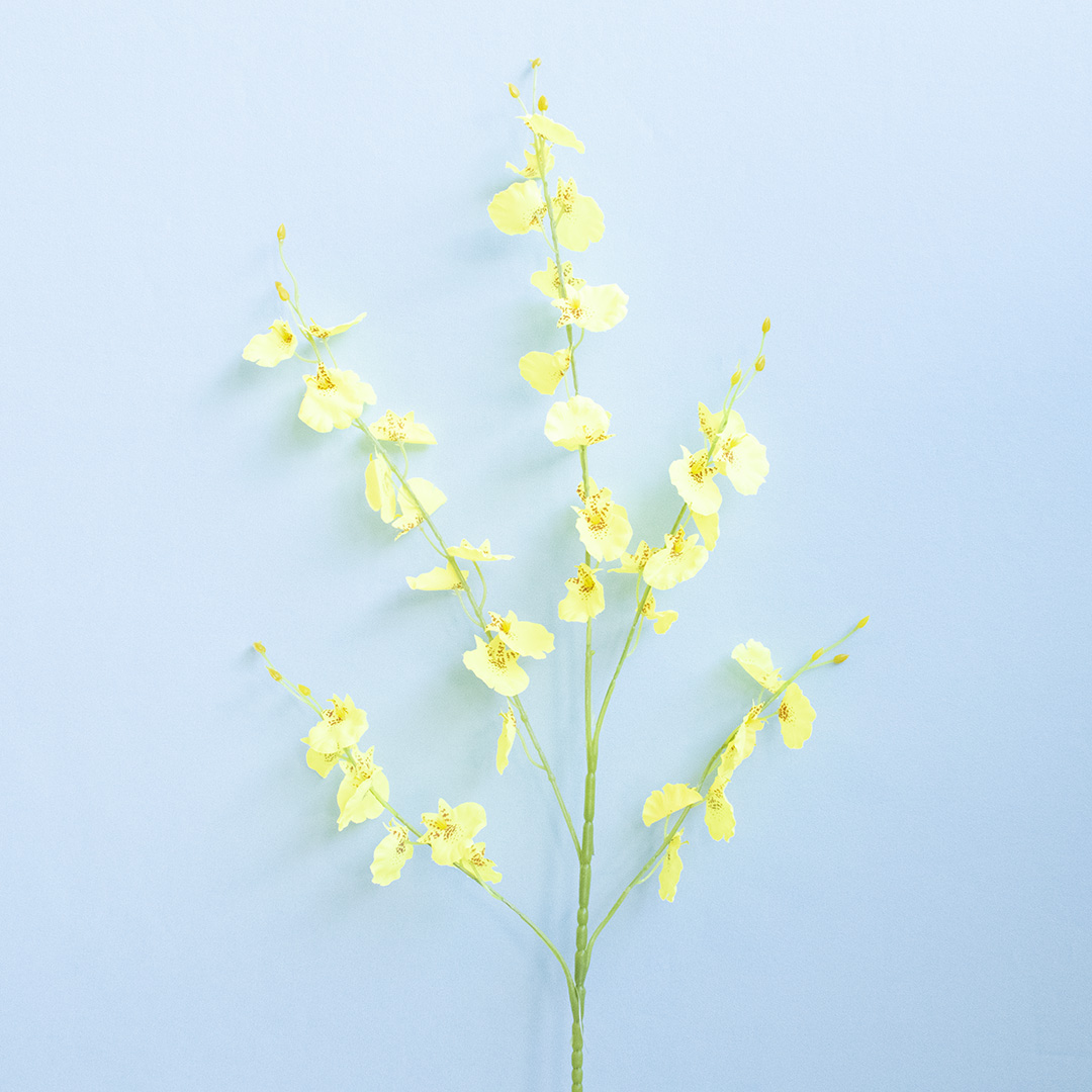 Haste de Flor Artificial Orquídea Chuva de Ouro Amarela | Formosinha