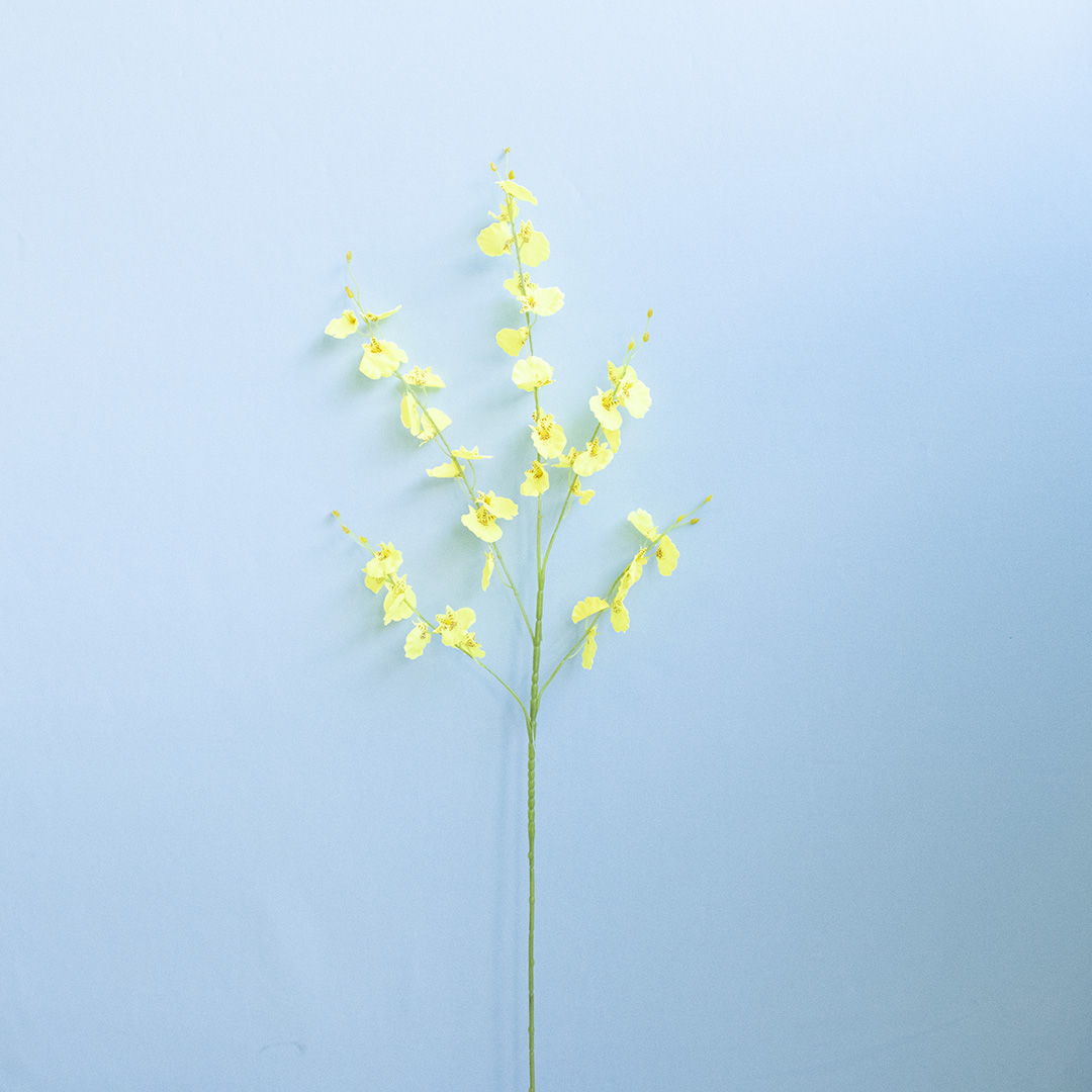 Kit C/ 6 Hastes de Orquídea Chuva De Ouro | Flor Artificial Formosinha