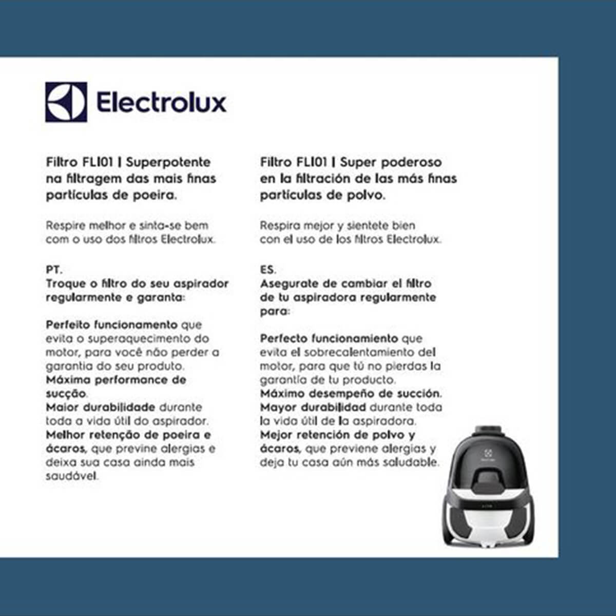 Kit 3 Filtros Para Aspirador De Pó Electrolux LTI31 (FLI01) - A18834101