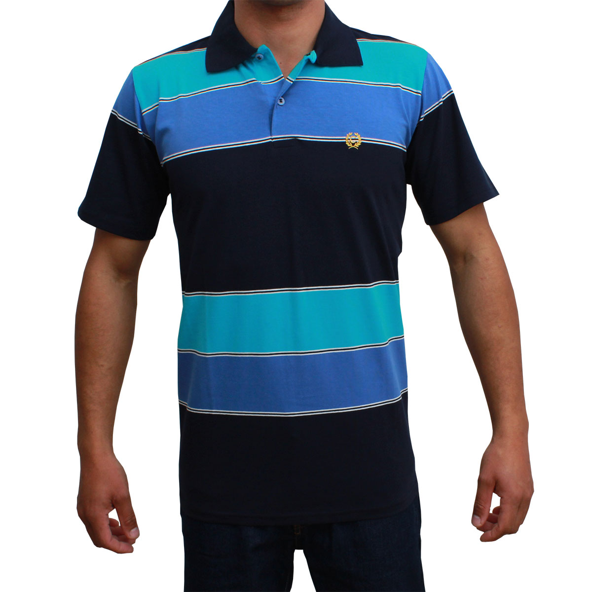Camiseta Polo Classic Azul Listrada