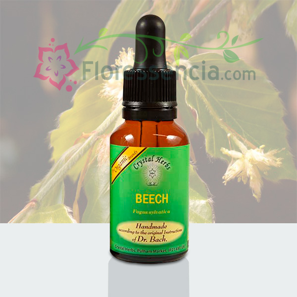Beech - Florais de Bach Crystal Herbs - 25 ml  - Floressência