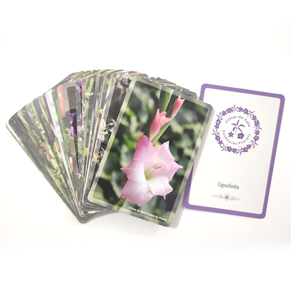 Cartas das Flores - Filhas de Gaia  - Floressência