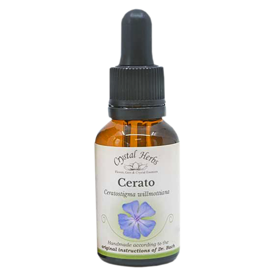 Cerato - Florais de Bach Crystal Herbs - 20 ml  - Floressência