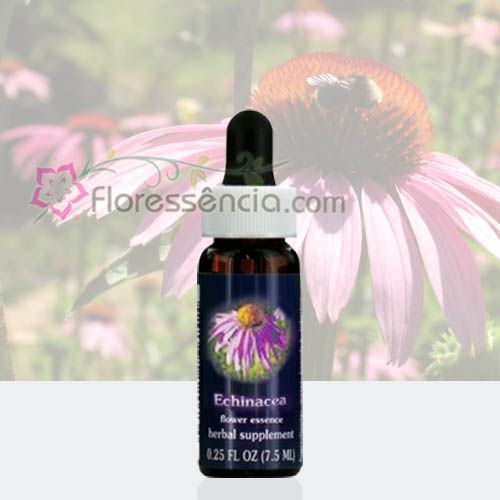 Echinacea - 7,5 ml - Floressência