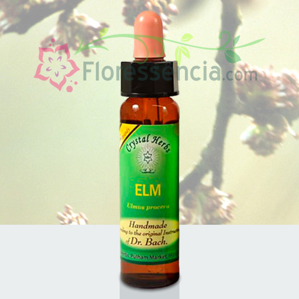 Elm  - Florais de Bach Crystal Herbs - 10 ml  - Floressência