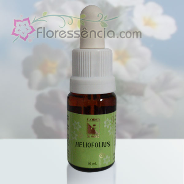 Heliofolius - 10 ml - Floressência