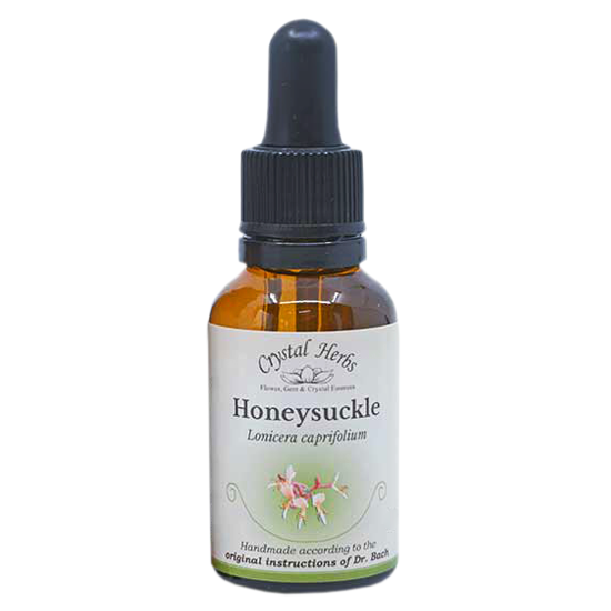 Honeysuckle - Florais de Bach Crystal Herbs - 20 ml - Floressência