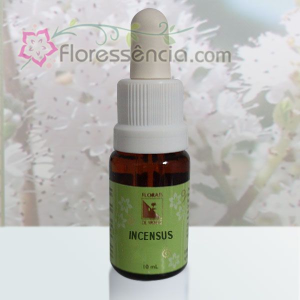 Incensus - 10 ml - Floressência