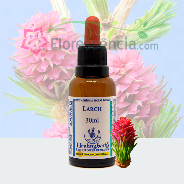 Larch - Florais de Bach Healing Herbs - 30 ml - Floressência
