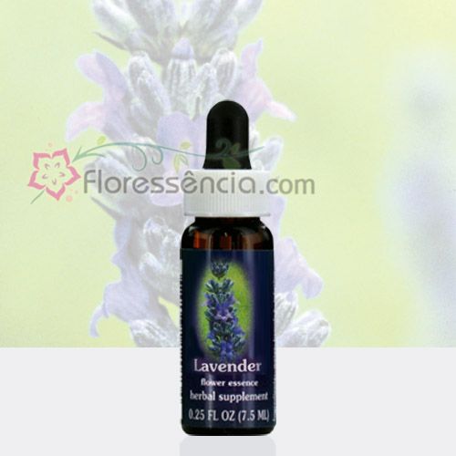 Lavender - 7,5 ml - Floressência