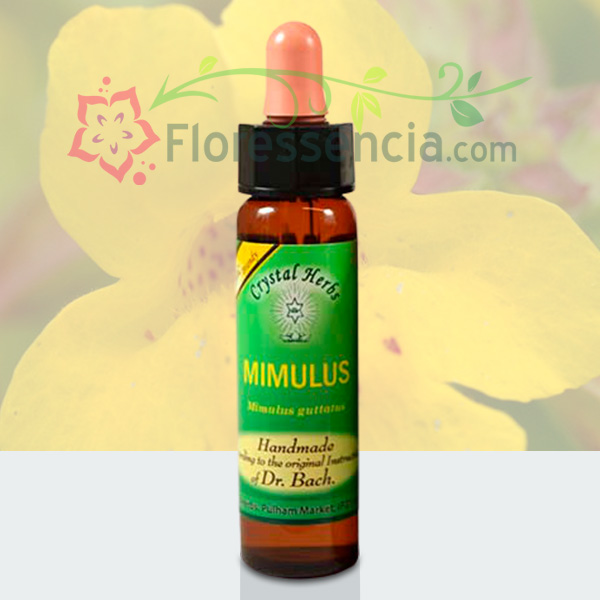 Mimulus - Florais de Bach Crystal Herbs - 10 ml - Floressência
