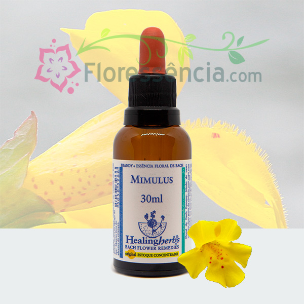 Mimulus - Florais de Bach Healing Herbs - 30 ml  - Floressência